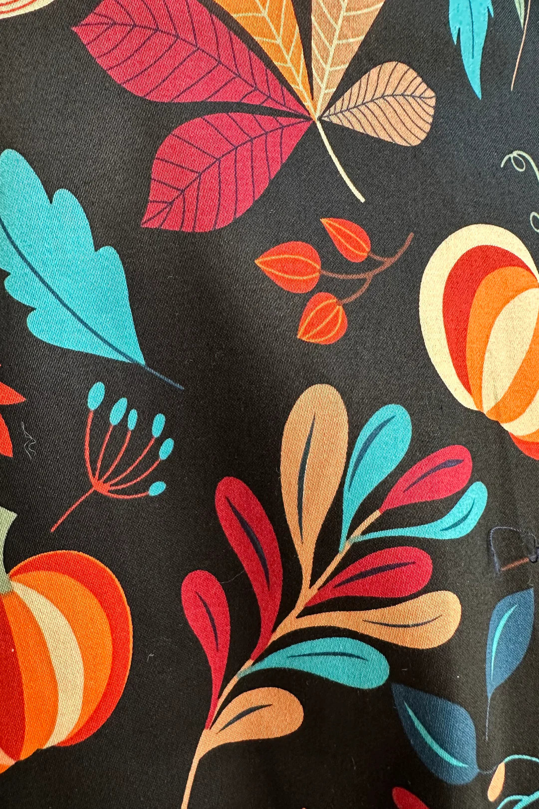 Eva Rose Pumpkin Print Fit & Flare Dress